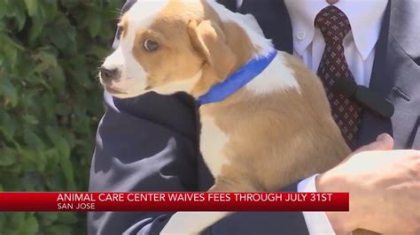 San Jose Animal Care Center waives adoption fees through July